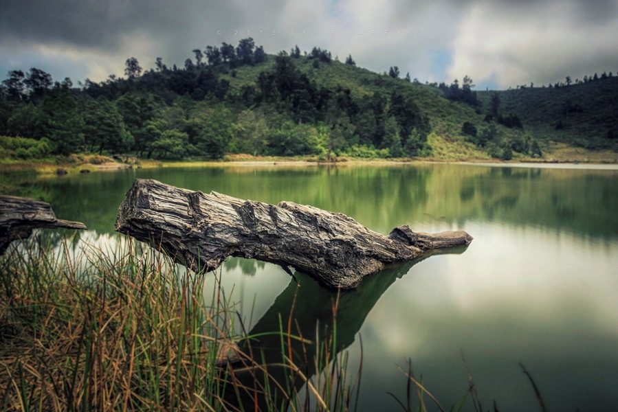 One of three hidden lakes in the Bromo Tengger Semeru mountain area, located at 2100 metres above sea level.
This lake is so quiet, serene and peaceful. On summer time, the temperature could reach -4 to 25 degrees celsius.
#landscape #lake #bromo #semeru #java
