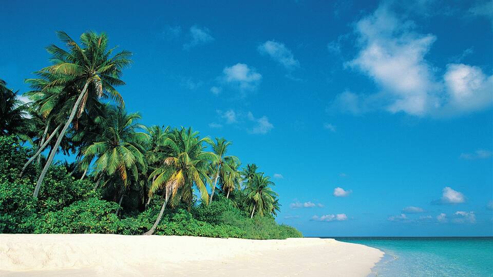 A beach with white sand, clear turquoise water, and palm trees under a blue sky.