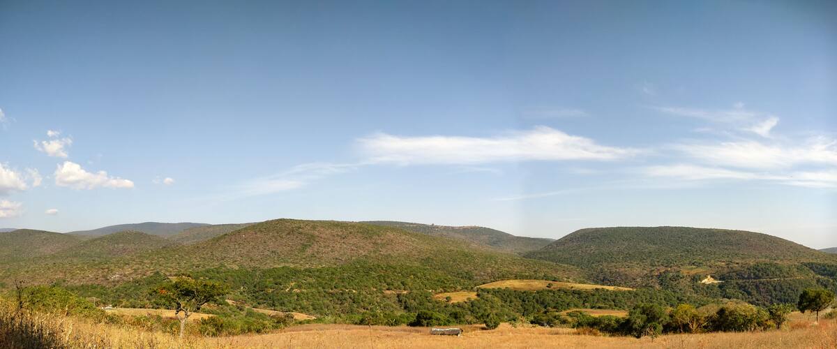Rolling hills with sparse vegetation and a clear sky.