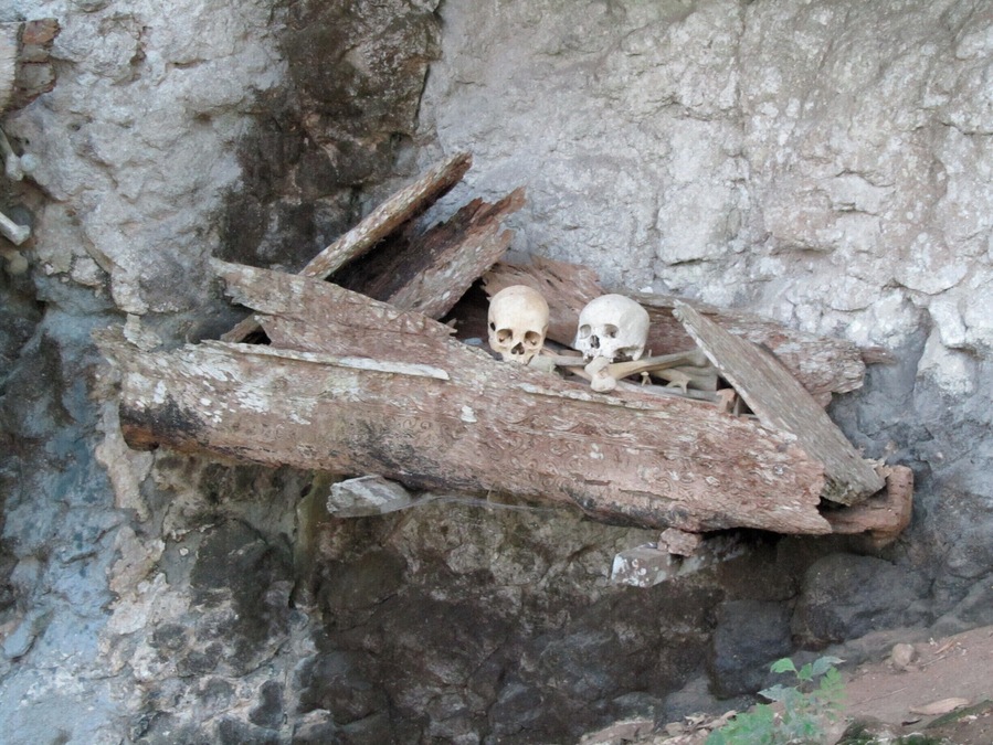 High in the mountains of Sulawesi there is a funereal culture called the Tana Toraja. This coffin with its owners' skulls is on the side of a cliff. Funerals are a huge event in the life of the Torajans. #Indonesia
