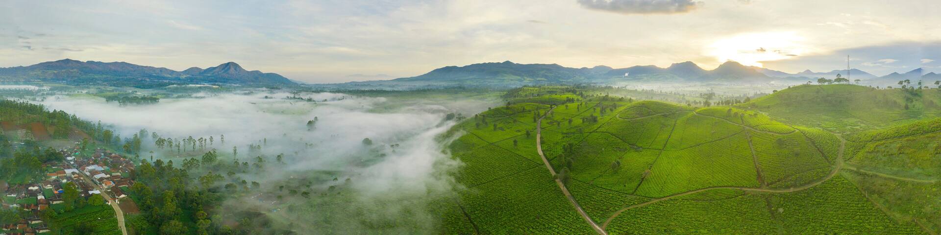 Beautiful panorama of tea plantation in Pangalengan