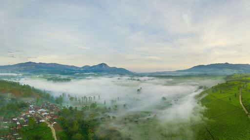 Beautiful panorama of tea plantation in Pangalengan