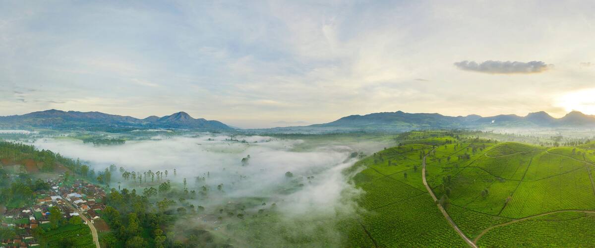 A misty valley with tea plantations, a small village, and distant mountains under a cloudy sky.