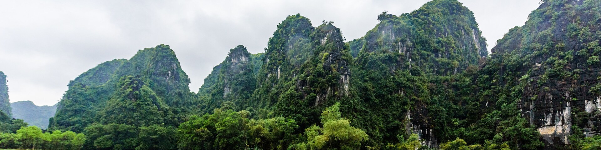 A river with dense green vegetation and limestone cliffs.