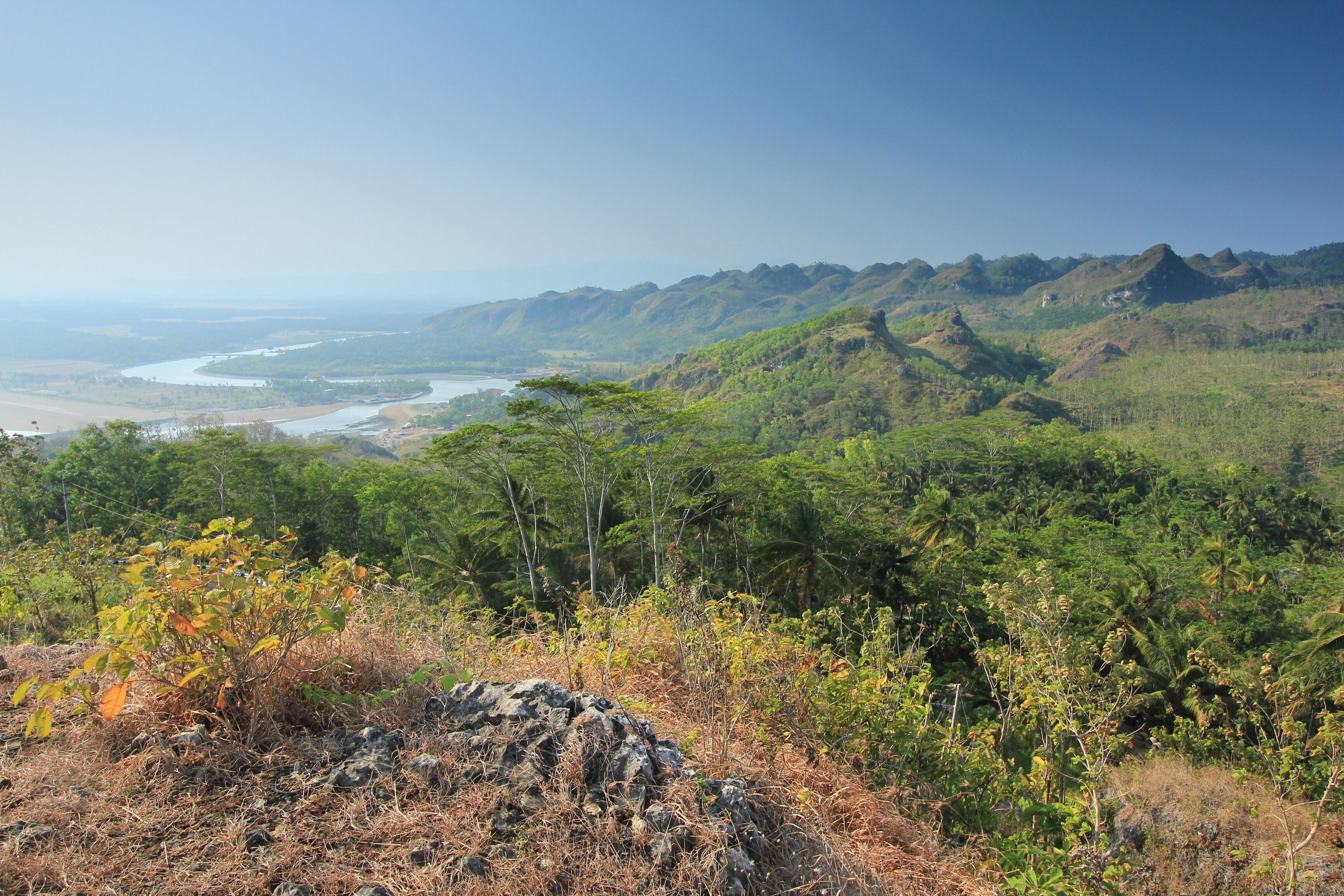 A mountainous landscape with a river, dense forest, and rocky outcrops.