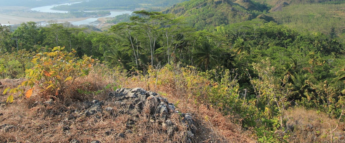A mountainous landscape with a river, dense forest, and rocky outcrops.