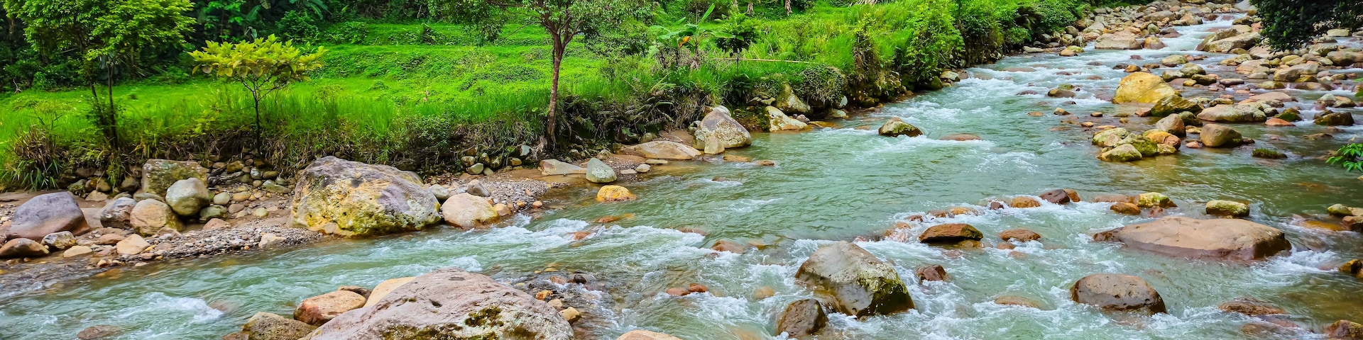 A river with clear water flowing over rocks, surrounded by lush green vegetation and trees.
