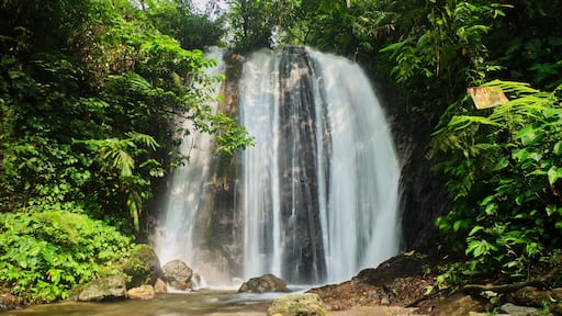 Amazing Waterfall in the Mount Halimun Salak Area, Pamijahan, West Java, Indonesia
