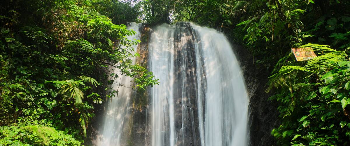A waterfall surrounded by lush greenery.