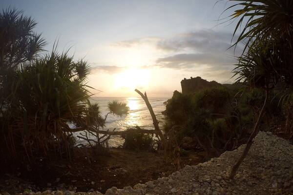 A sunset over a rocky coastline with palm trees and a cliff.