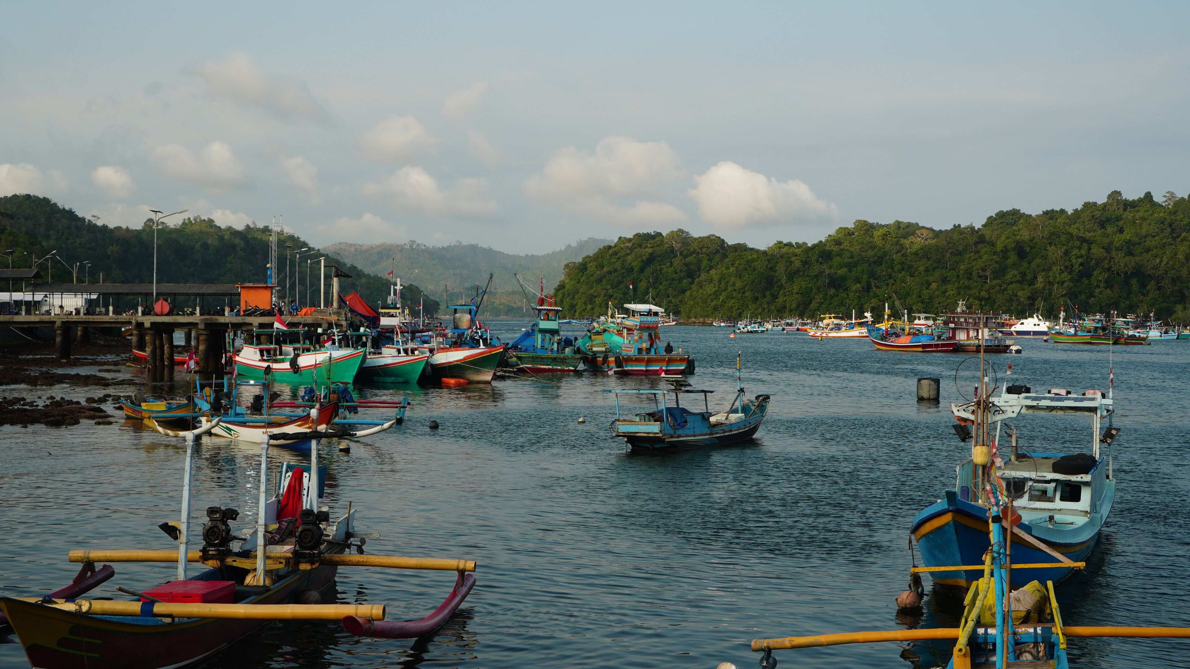 A harbor with various boats docked, a pier, and a forested hillside in the background.