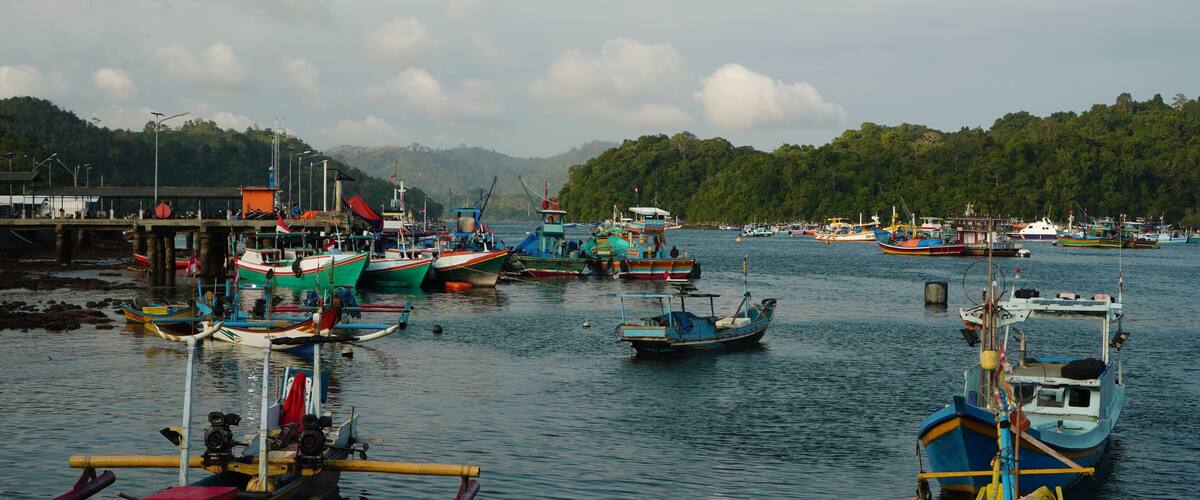 A harbor with various boats docked, a pier, and a forested hillside in the background.