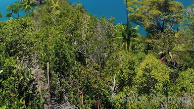 Stunning landscape of Raja Ampat.
Raja Ampat consists of a number of groups of islands situated off the northwest end of West Papua. It is one of the best places for scuba diving and its coral reefs are extremely rich with an amazing biodiversity.
This picture has been taken from the viewing platform on the island Fam.
We arrived on the small island Pef end of February and are now working in this stunnig part of the world. ;-)
Read more about our new home on: http://www.swissnomads.com/2015/03/pulau-pef-in-raja-ampat/