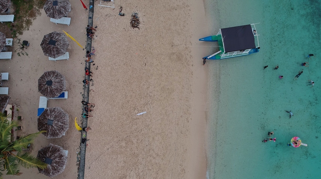 Prince John Dive Resort is the only dive center within an area of 300km. It's located on the tip of Palu bay, 70km south of the equator in the driest part of Indonesia.