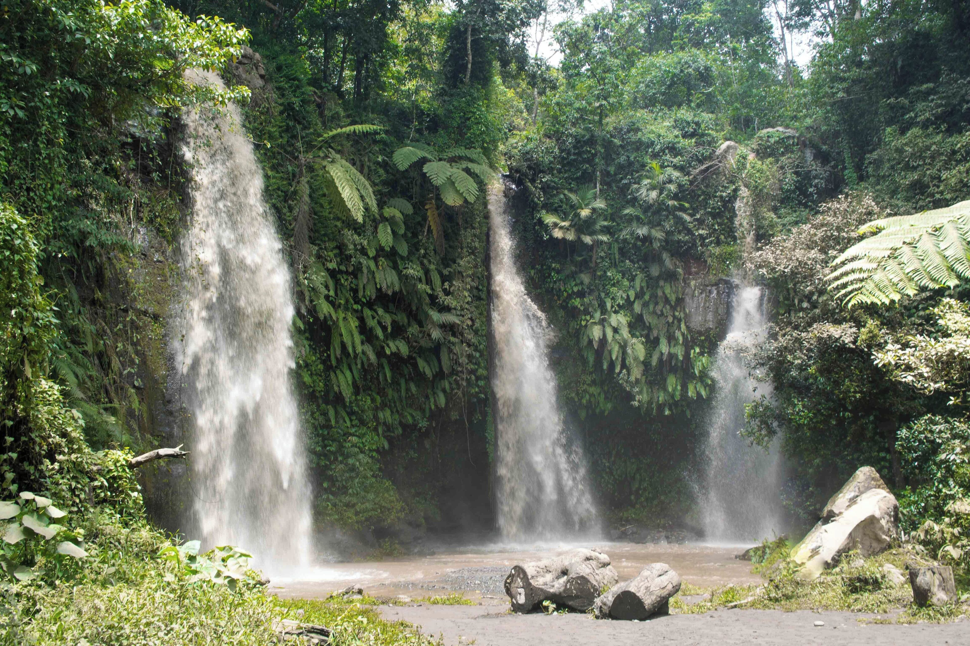 A waterfall cascading down a rocky cliff surrounded by lush greenery.