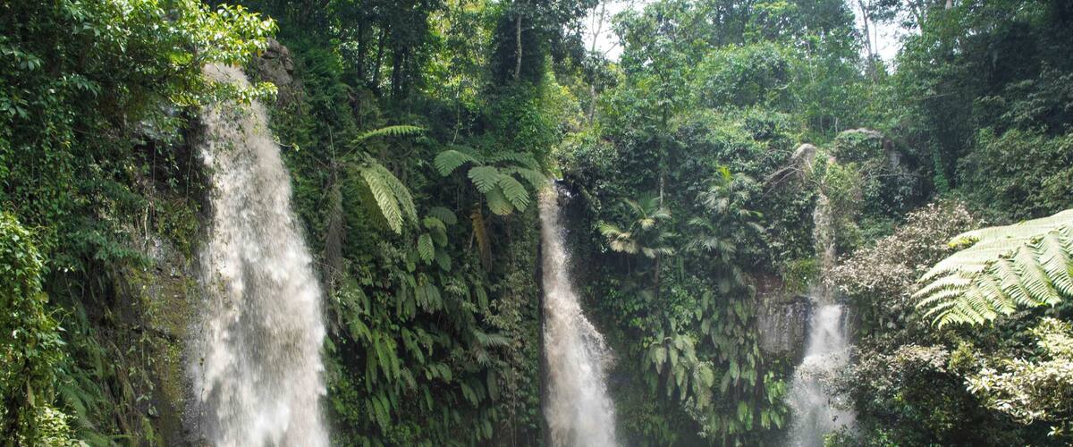 A waterfall cascading down a rocky cliff surrounded by lush greenery.
