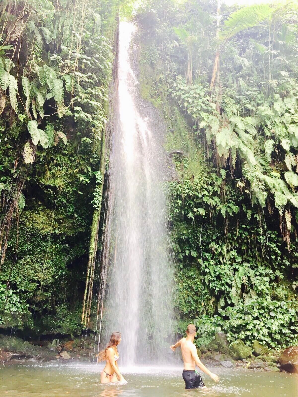 I ran away in my sleep and found my paradise 🌴
#TakeAHike in this tropical forest with four hidden waterfalls 
#AquaTrove