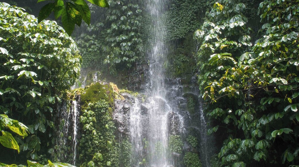 Besides great empty beaches, the island of Lombok also has lush rainforests with plenty of waterfalls. Benang Stokel and Benang Kelambu are a bit out of the way in the center of the island, but are well worth a visit!