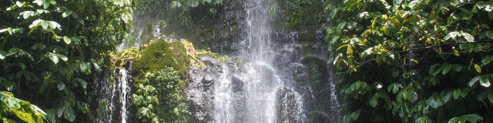 Una cascada rodeada de densa vegetación verde.