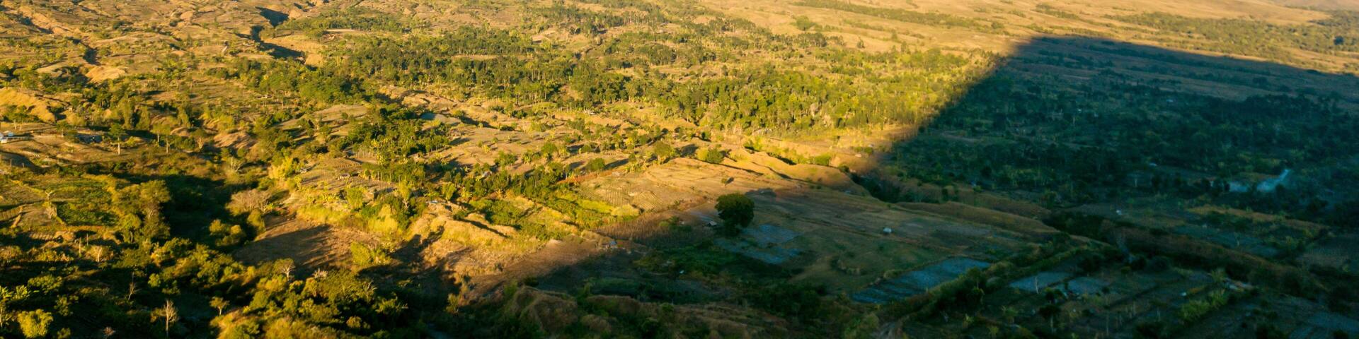 Rinjani mountain with forest under blue sky