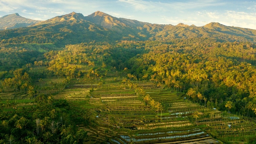 Terraced fields near foothills Rinjani mountain