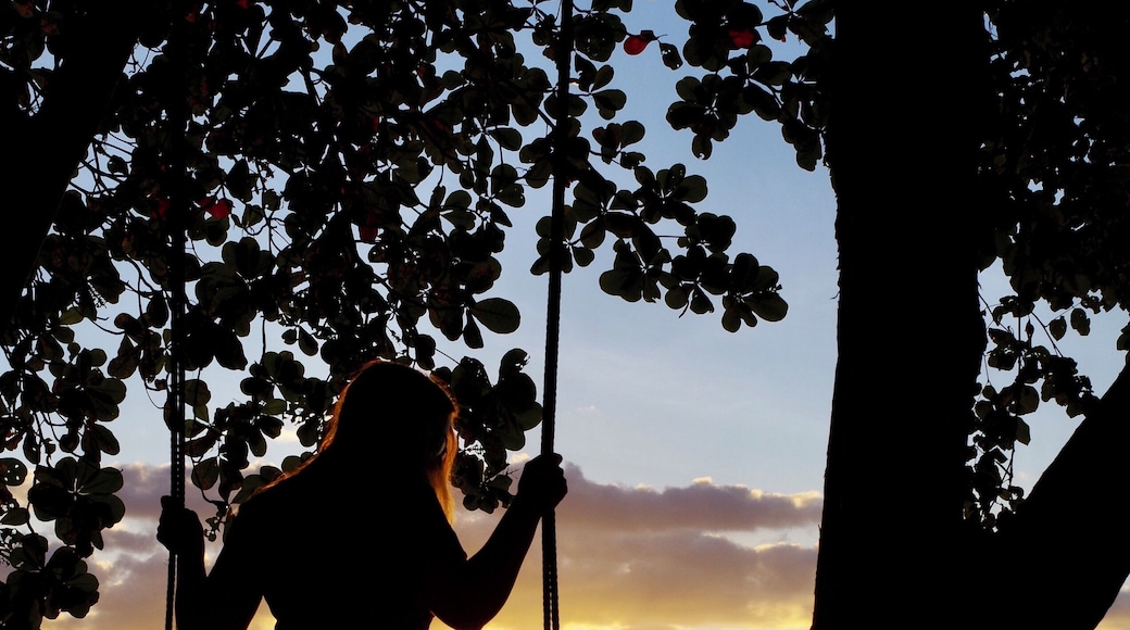 Can’t beat a good sunset to make you feel at one with nature. Ankermi Happy Dive was a wonderful resort. Very quiet and relaxing and perfect for those looking to snorkel or Dive. #nature