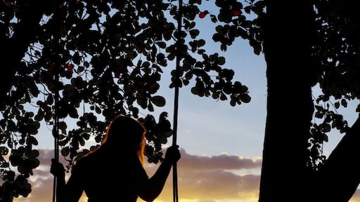 Can’t beat a good sunset to make you feel at one with nature. Ankermi Happy Dive was a wonderful resort. Very quiet and relaxing and perfect for those looking to snorkel or Dive. #nature