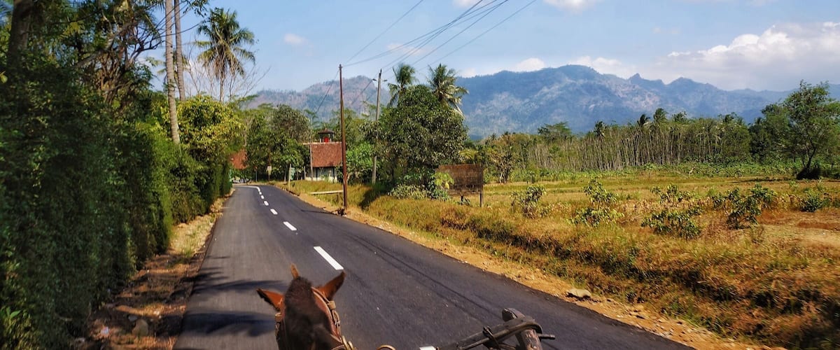 A rural road flanked by palm trees and greenery, leading towards distant mountains.