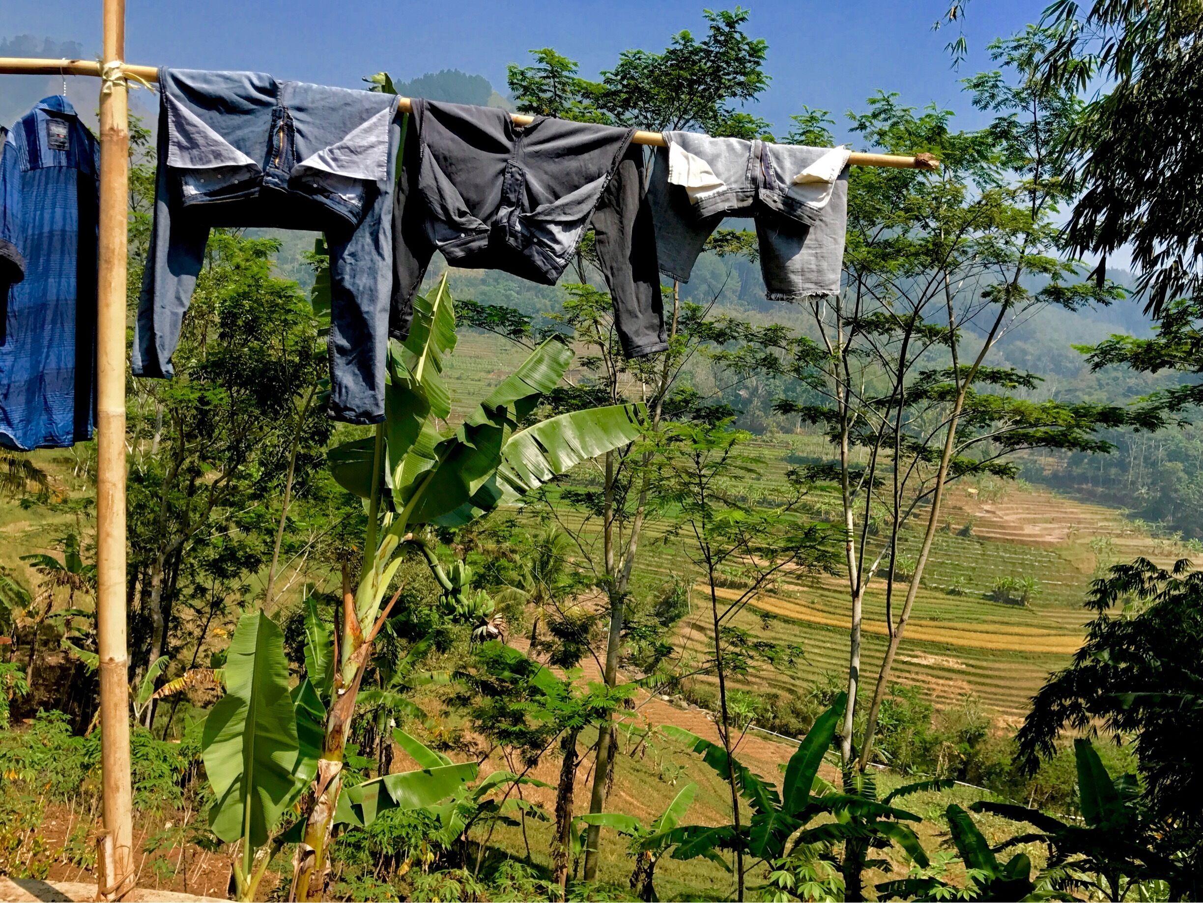 This rice growing valley was one of the highlights of our trip to Indonesia. Simply breathtaking!