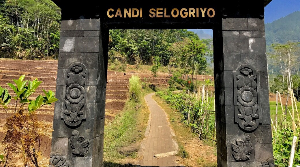 An incredibly pristine and untouched spot!
Simply beautiful.