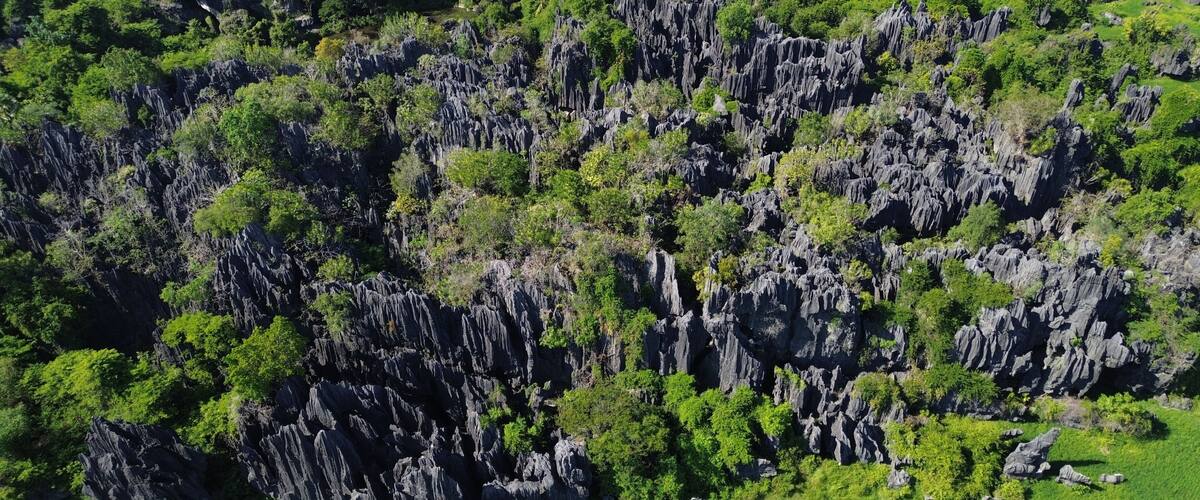 A rugged cliffside with dense vegetation and a lush green foreground.