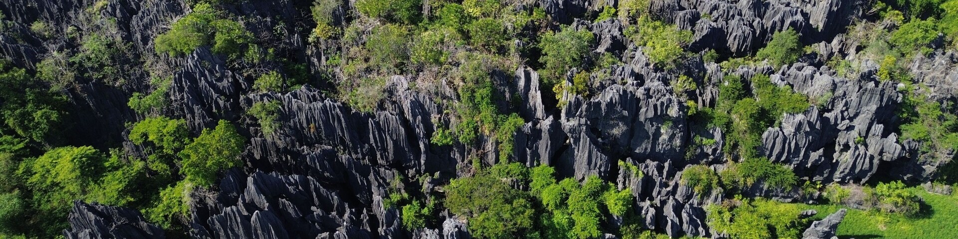 A rugged cliffside with dense vegetation and a lush green foreground.
