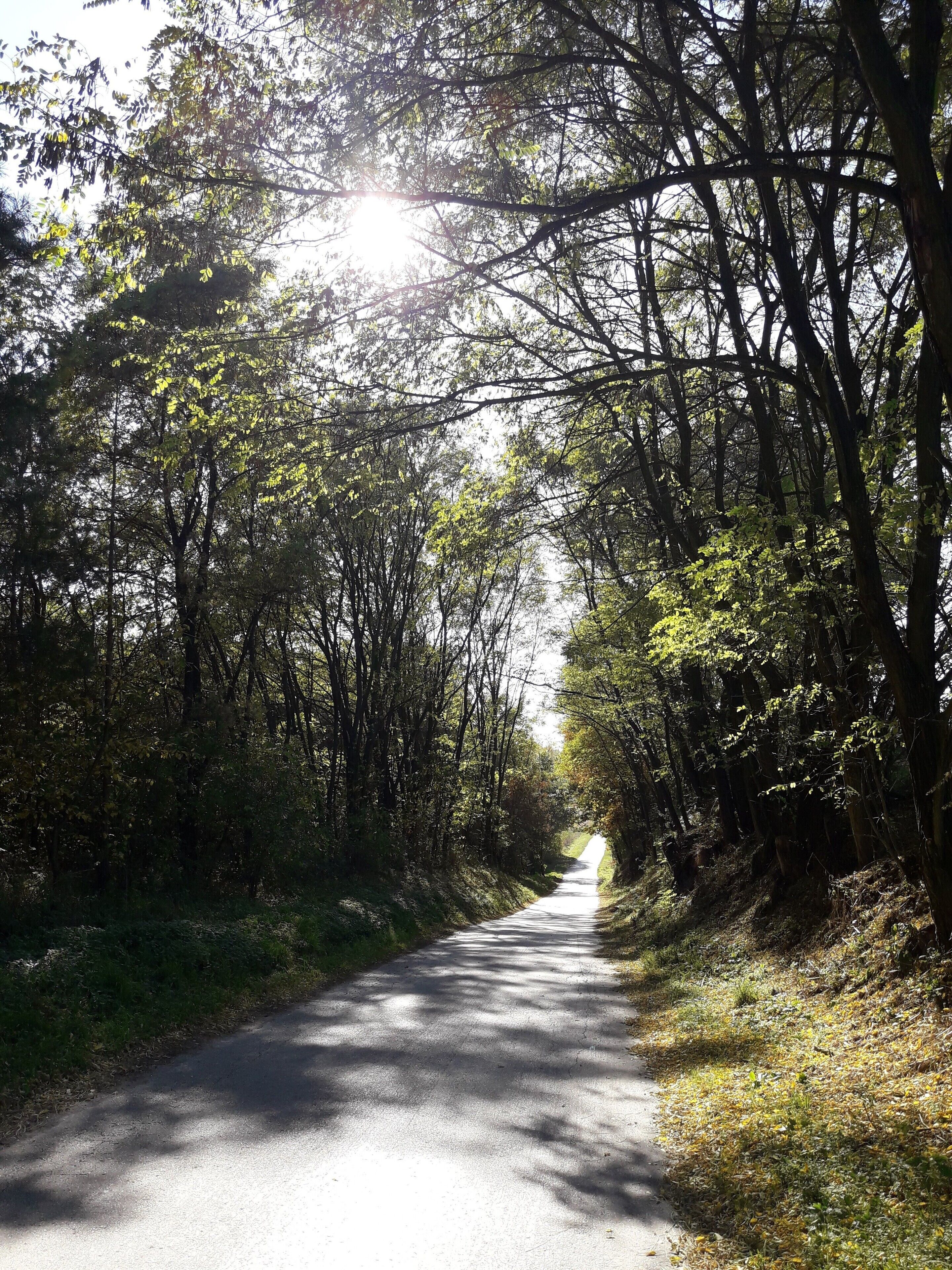 Countryside in Poland. I have collected plenty of good memories from there #LifeAtExpedia In the middle of nowhere...