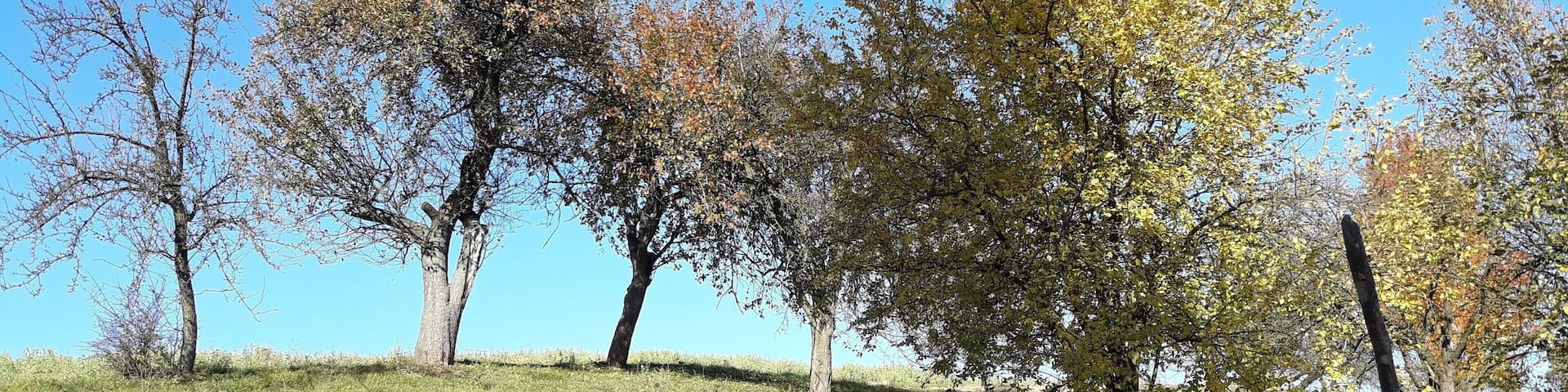 Countryside in Poland. It's my childhood memory #orchard #LifeAtExpedia In the middle of nowhere...