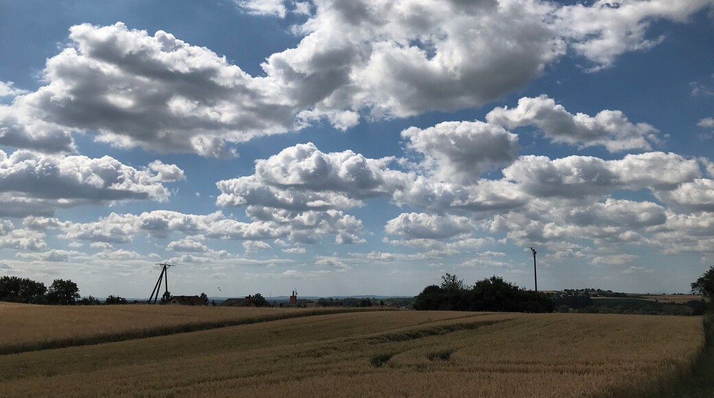 Great view, nice place to rest