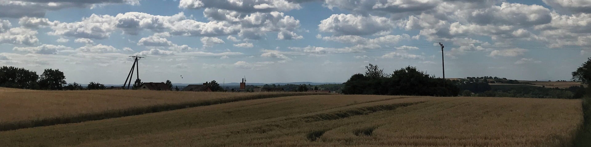 Great view, nice place to rest