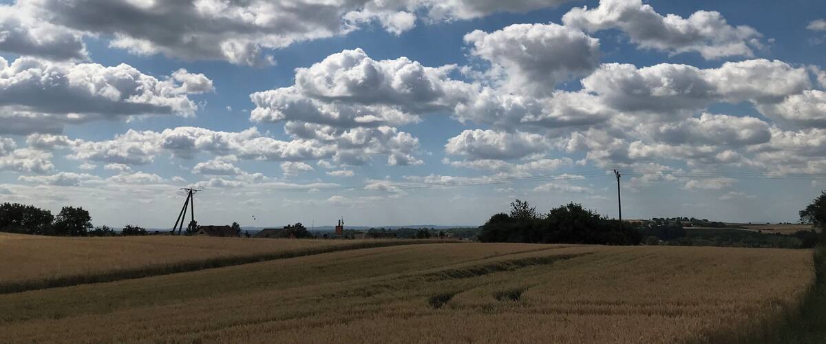 A rural landscape with fields, scattered trees, and a clear sky with clouds.