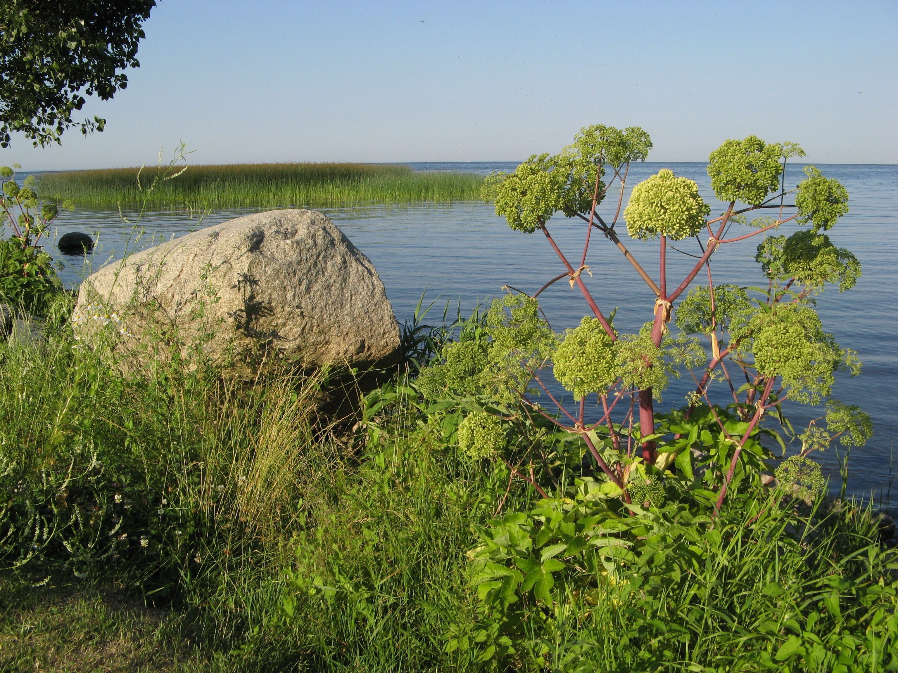 Zalew Szczeciński Sułomino