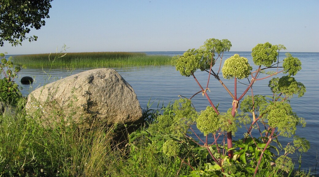 Zalew Szczeciński Sułomino