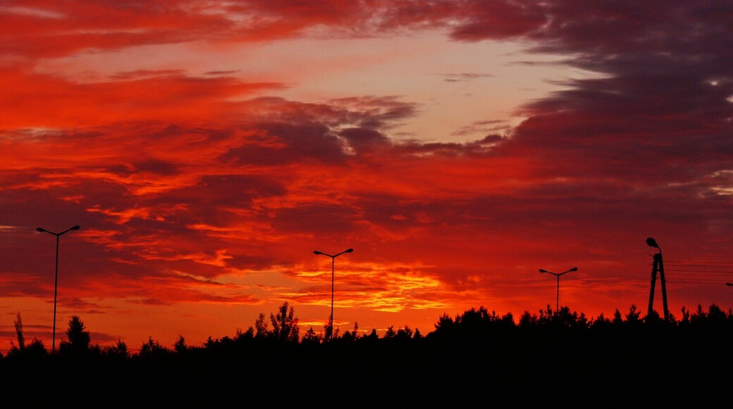 Świt na granicy w Olszynie Poland