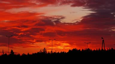 Świt na granicy w Olszynie Poland