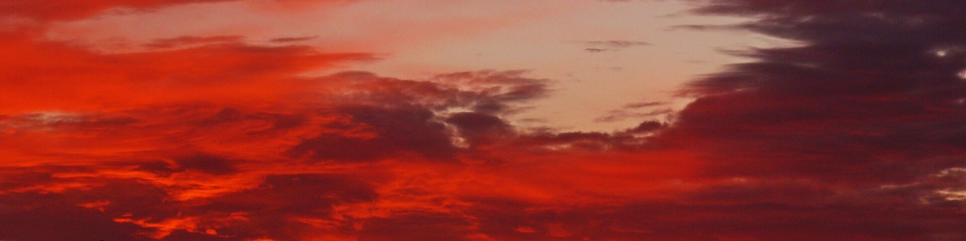 Świt na granicy w Olszynie Poland