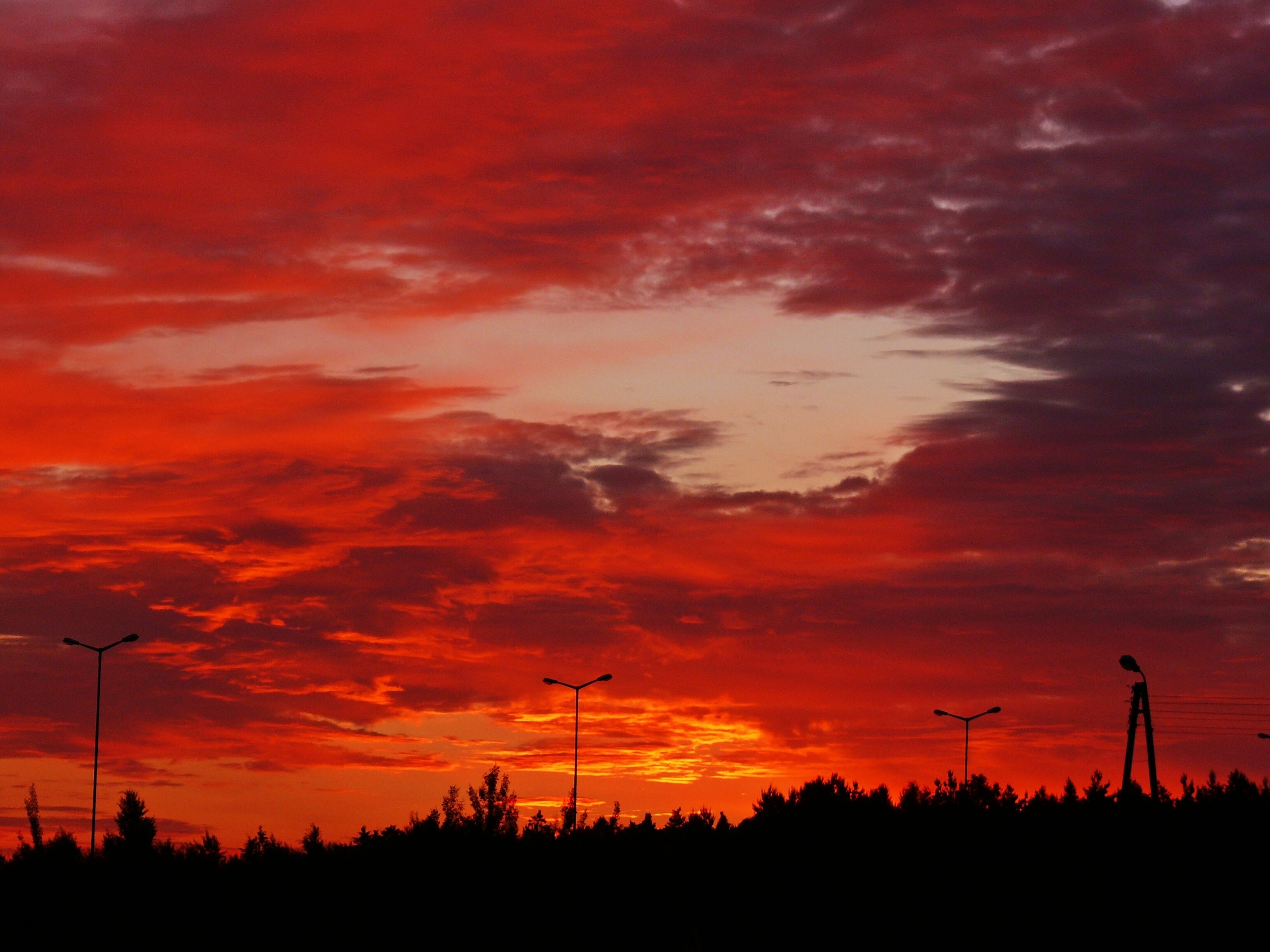A sunset with a vibrant red sky, silhouettes of trees, and streetlights.