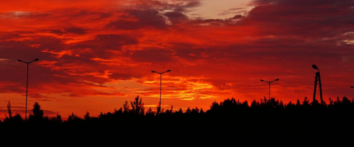 A sunset with a vibrant red sky, silhouettes of trees, and streetlights.