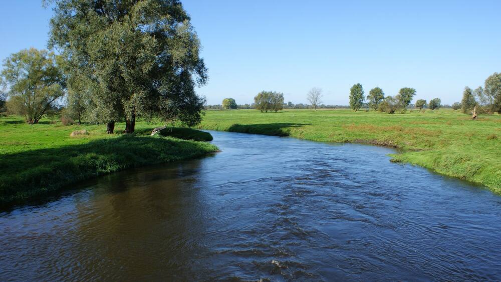 Ein Fluss fließt durch eine grüne Landschaft mit Bäumen und offenen Feldern.