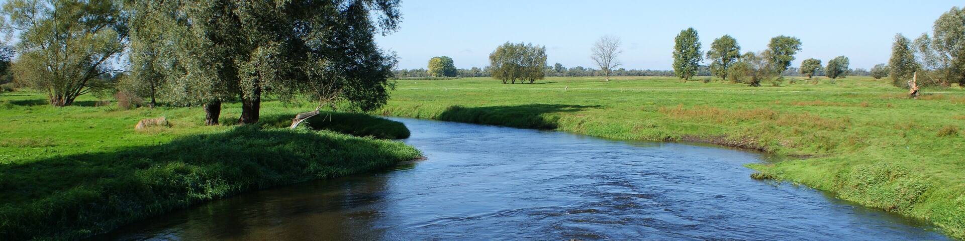 A river flowing through a green landscape with trees and open fields.