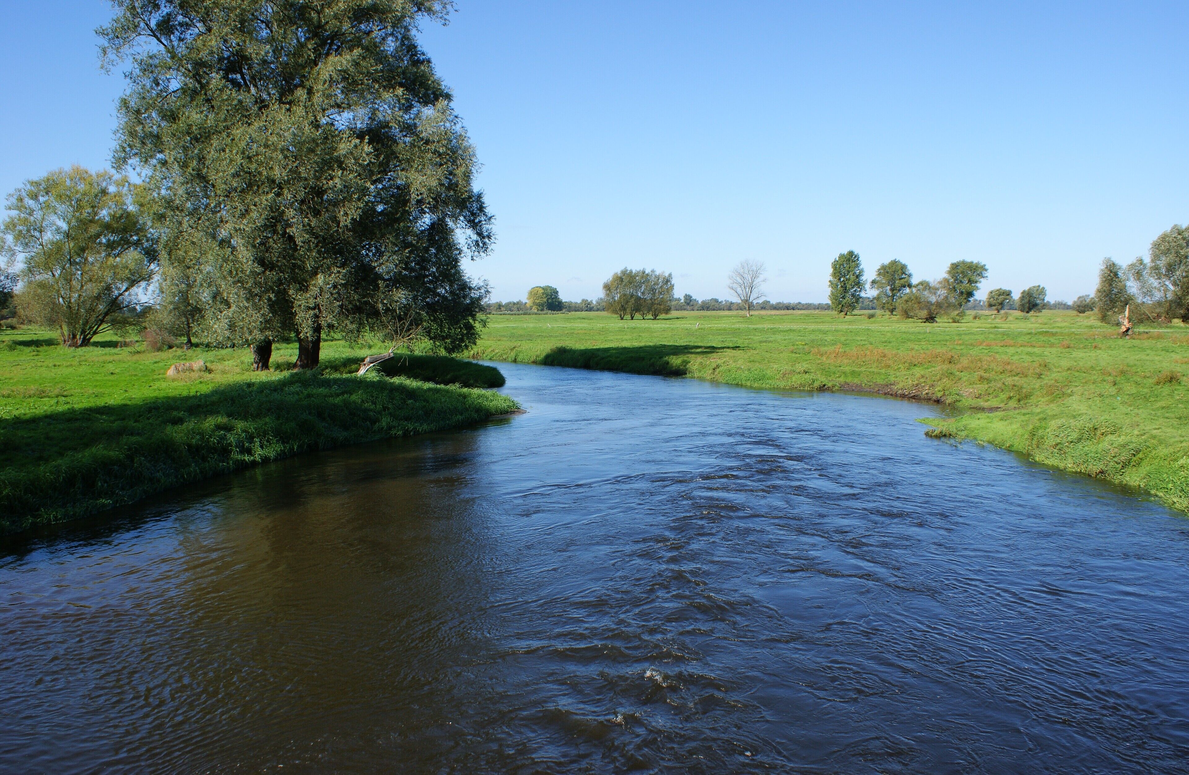 A river flowing through a green landscape with trees and open fields.