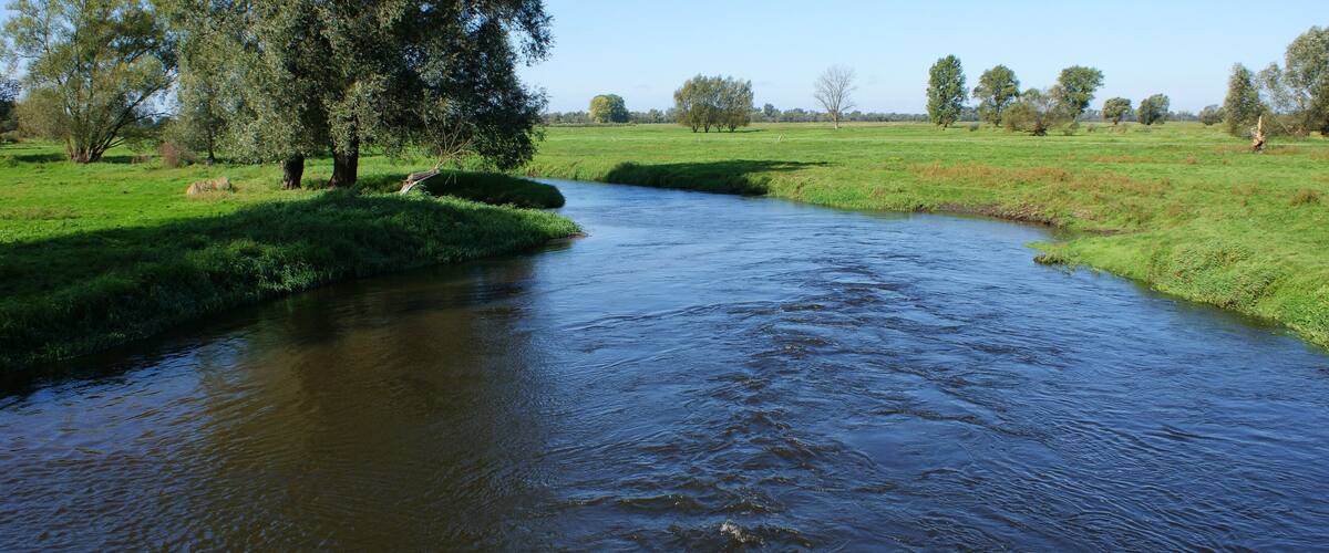 A river flowing through a green landscape with trees and open fields.