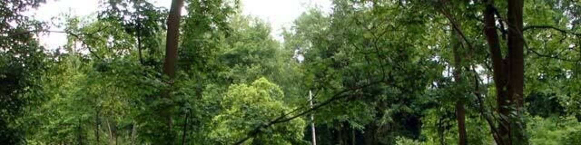 Zabice - Ehemaliges Außenfort der Festung Küstrin