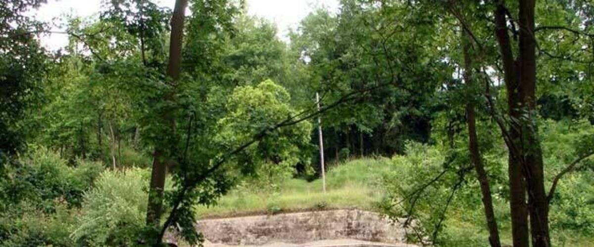 A tunnel entrance labeled 'SPYNA' surrounded by lush greenery.